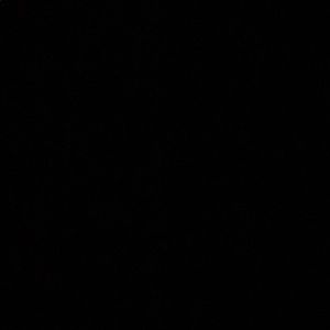 Meet your Posher, Amelia